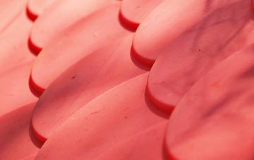 Tillydrone plastic roof costs