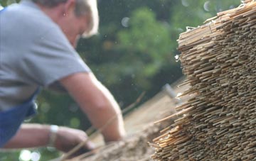 professional Tillydrone thatchers